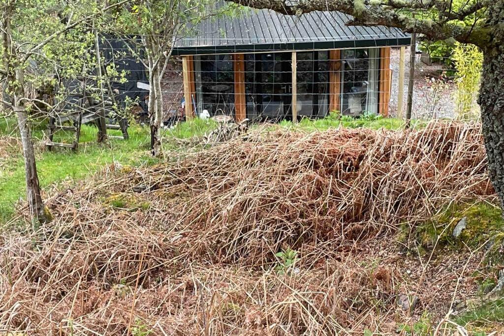 Coorie Doon Cabin! Great Scottish Welcome Форт Аугустус Екстериор снимка