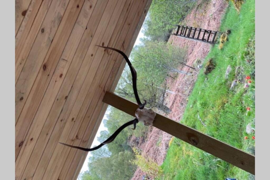 Coorie Doon Cabin! Great Scottish Welcome Форт Аугустус Екстериор снимка