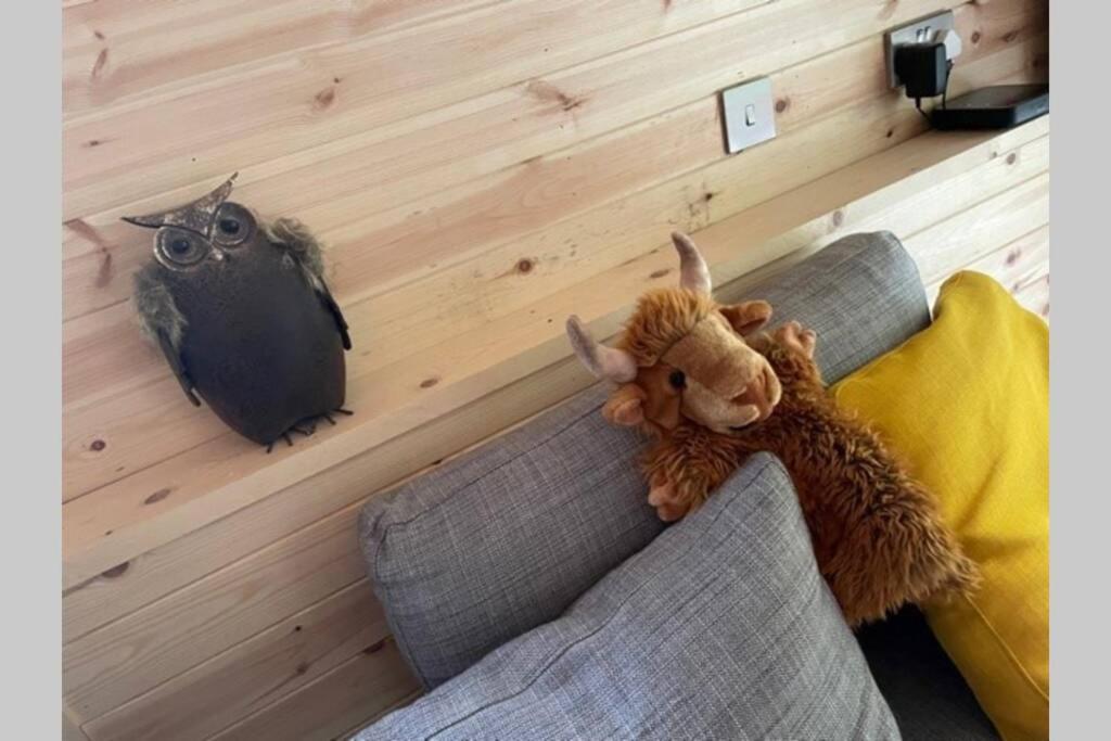 Coorie Doon Cabin! Great Scottish Welcome Форт Аугустус Екстериор снимка
