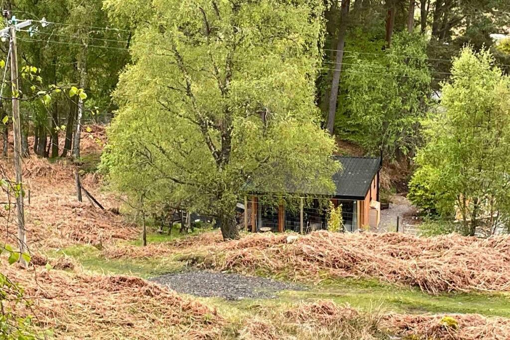 Coorie Doon Cabin! Great Scottish Welcome Форт Аугустус Екстериор снимка